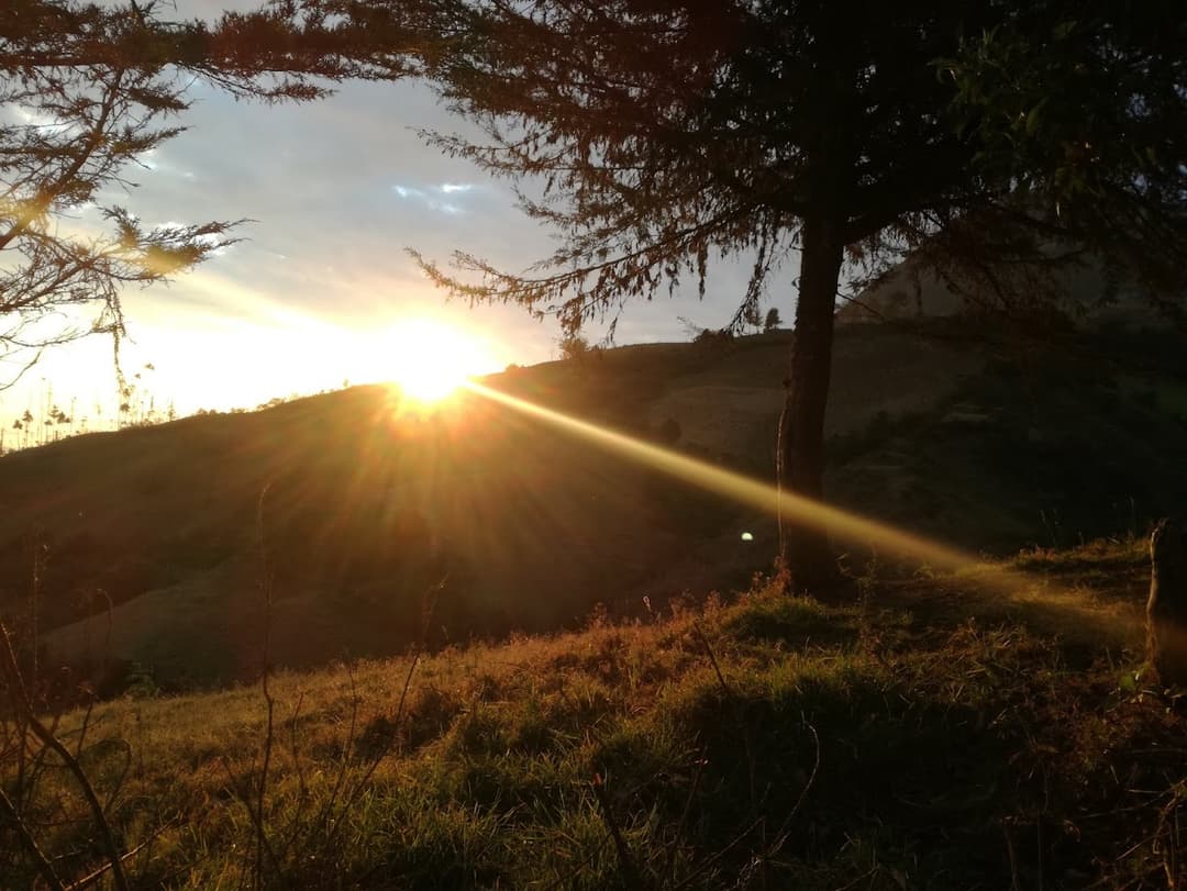 Atardeceres 2