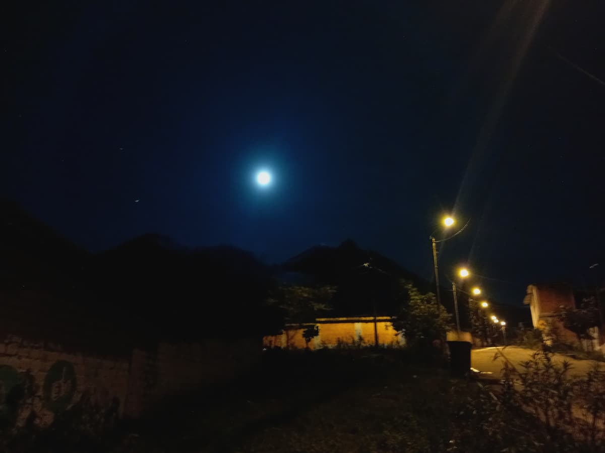 Galería 4