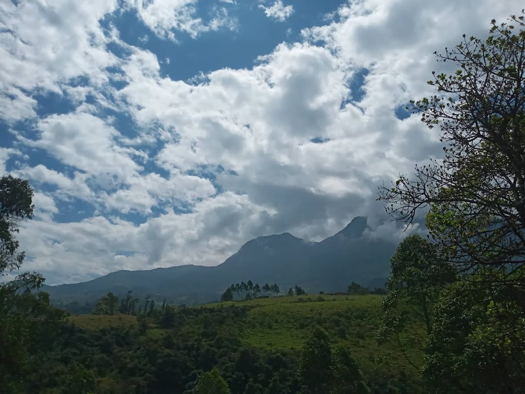Paisajes 1